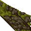 mossy wall