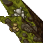 mossy wall