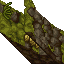mossy wall