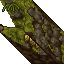 mossy wall