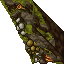 mossy wall