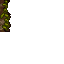 mossy wall