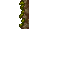 mossy wall
