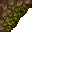 mossy wall