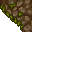 mossy wall