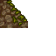 mossy wall