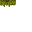 mossy wall