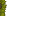 mossy wall