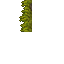 mossy wall
