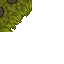 mossy wall