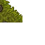 mossy wall