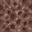 mushroom sponge