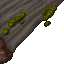 titanic mushroom