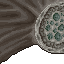 titanic mushroom