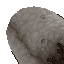titanic mushroom