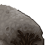 titanic mushroom
