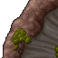 titanic mushroom