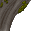titanic mushroom