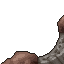 titanic mushroom