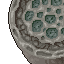 titanic mushroom