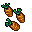carrots