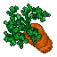 giant carrot
