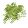 green spores