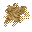 yellow spores