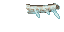 icy mammoth horn