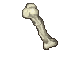bones