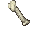 bones