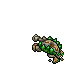 dead armadile