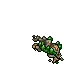 dead armadile