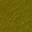 swamp