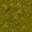 swamp