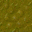 swamp