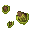 bog wart