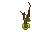 bog wart