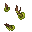 bog wart