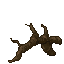 swamp gnarl