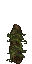 choking swamp gnarl