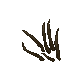 swamp claw