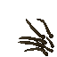 swamp claw