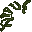 stone lichen