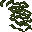 stone lichen