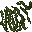 stone lichen