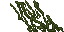 swamp lichen
