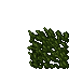 freshly cut venorean spice