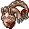 dead drillworm