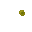 swamp